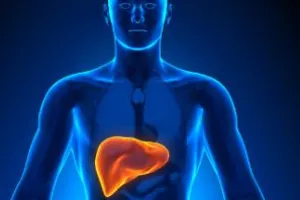 Портальная гипертензия — причины, симптомы, диагностика и лечение Портальная гипертензия — причины, симптомы, диагностика и лечение